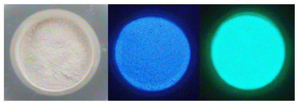 一种耐水型碳量子点基复合磷光材料及其制备方法