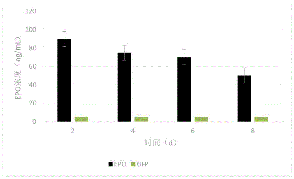 一种高浓度再生微脂的注射方法