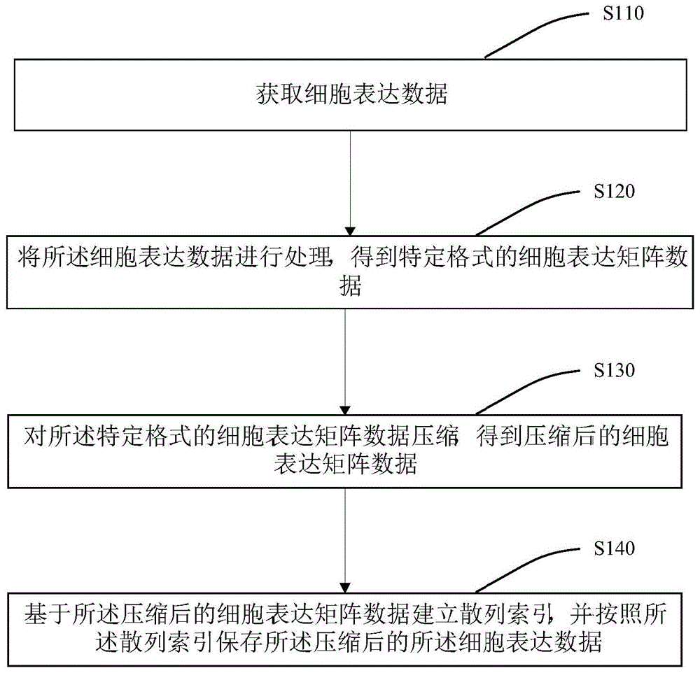 一种细胞表达数据处理方法、装置及电子设备