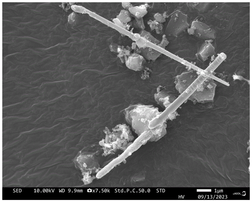 一种微波烧结制备碳化钽晶须的方法及其应用