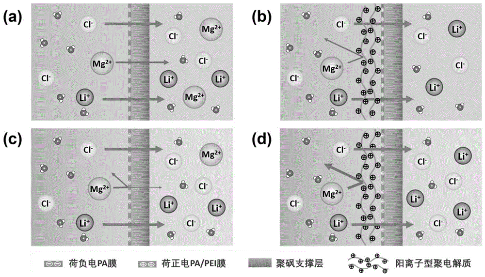 一种基于阳离子型聚电解质的纳滤膜锂镁分离方法