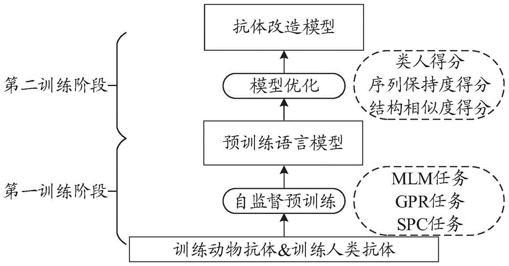 抗体改造模型训练方法、抗体改造方法及其装置