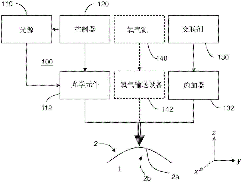 用于生成患者特定角膜交联处理图案的系统和方法