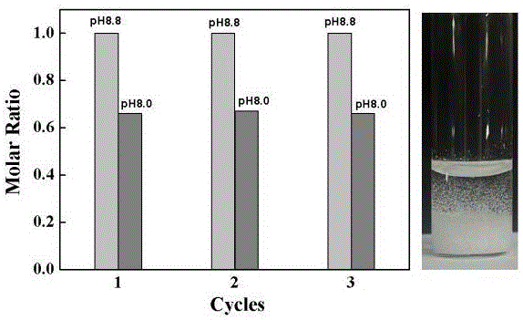 静电作用促进的pH响应动态共价硼酸酯键原位合成单分子胶束的方法
