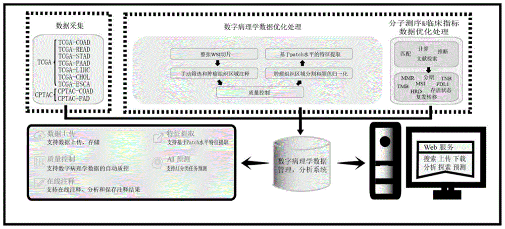 针对消化道肿瘤的数据处理方法及系统