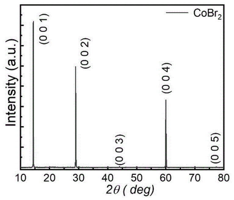 一种制备层状磁性材料CoBr2单晶的方法
