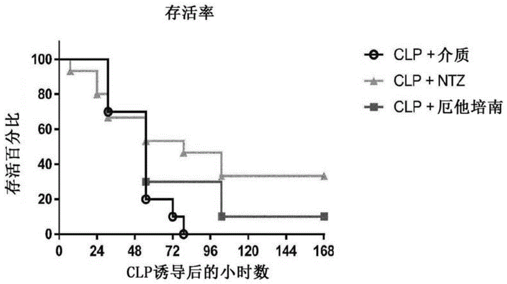 治疗脓毒症的硝唑尼特