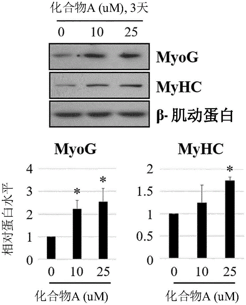 3-(4-(苄氧基)苯基)己-4-炔酸衍生物的新用途