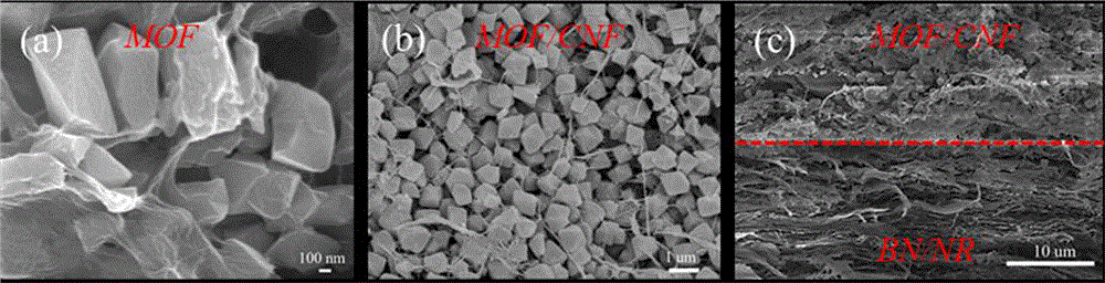热传递-潜能双重协同散热方式异质结构聚合物基导热复合材料制备方法及应用