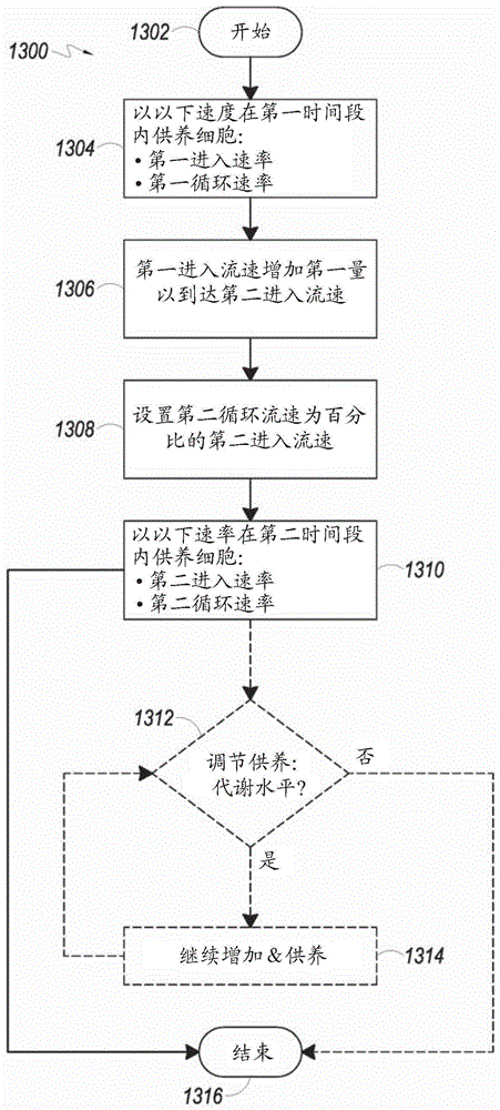 细胞扩增