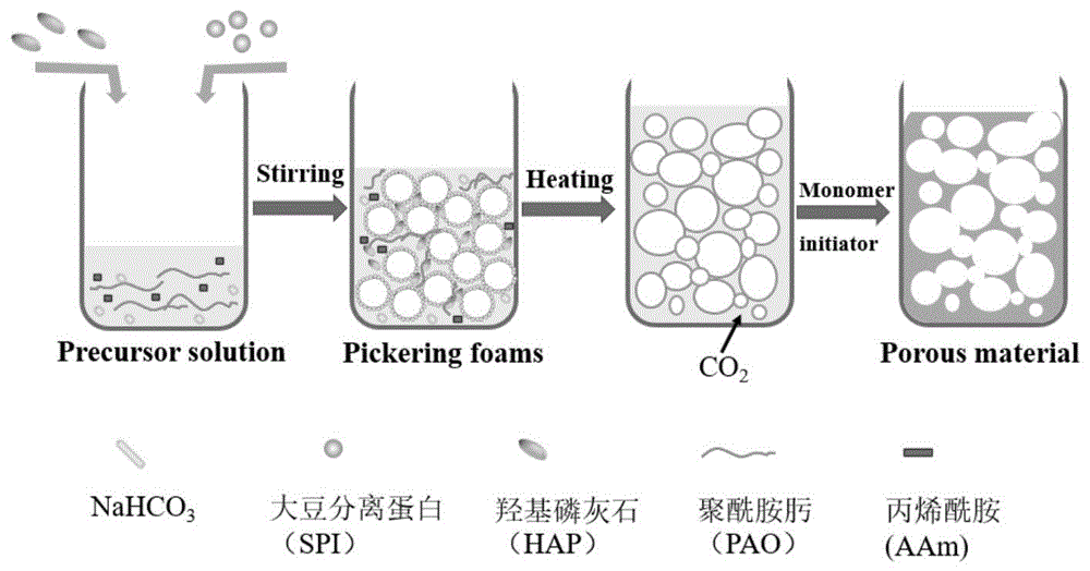 固体颗粒泡沫模板协同化学发泡制备的开孔吸附剂及其在快速去除废水中铀元素的应用