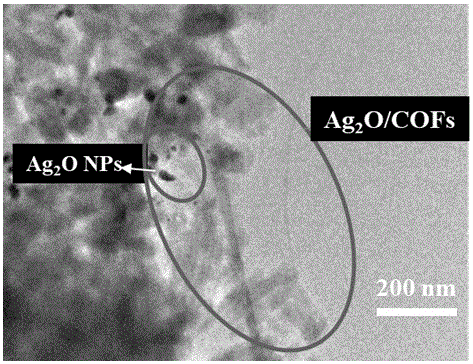 一种针状Ag2O/COFs纳米复合材料及其制备方法与在体外抗菌中的应用