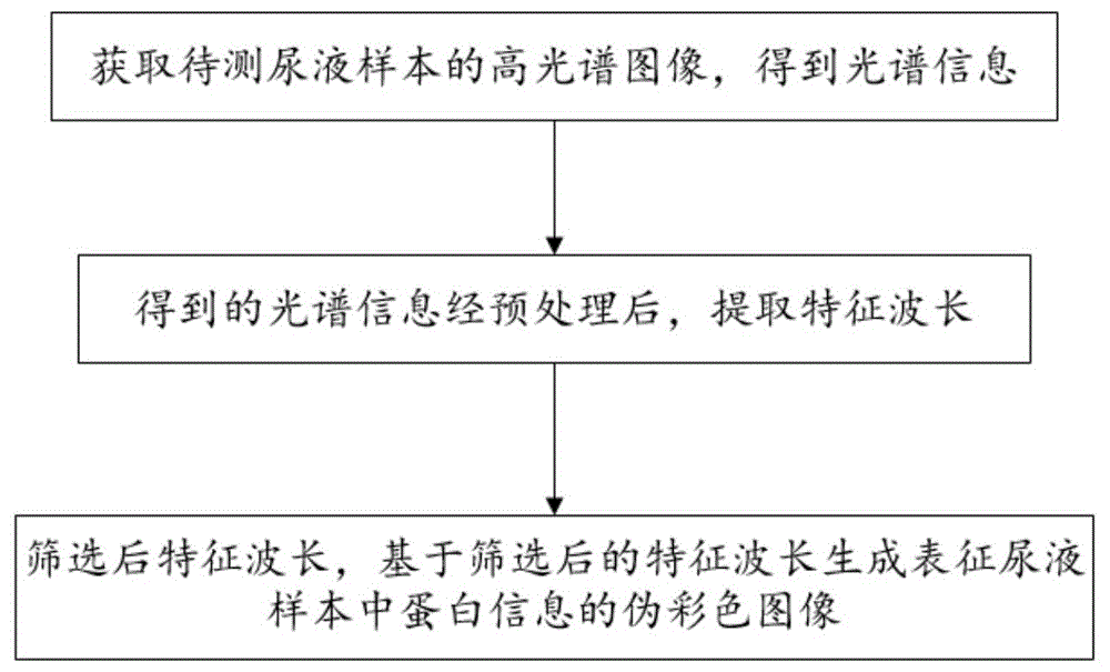 基于高光谱图像的尿液成分异常检测方法及系统