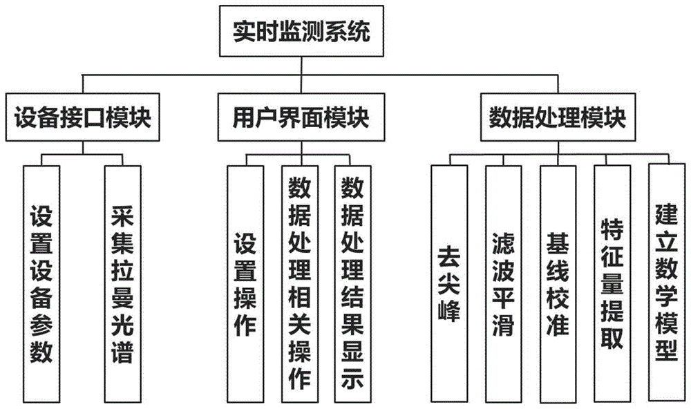 一种基于拉曼光谱实时监测系统