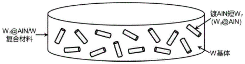 一种镀氮化铝短钨纤维增韧钨基复合材料及其制备方法