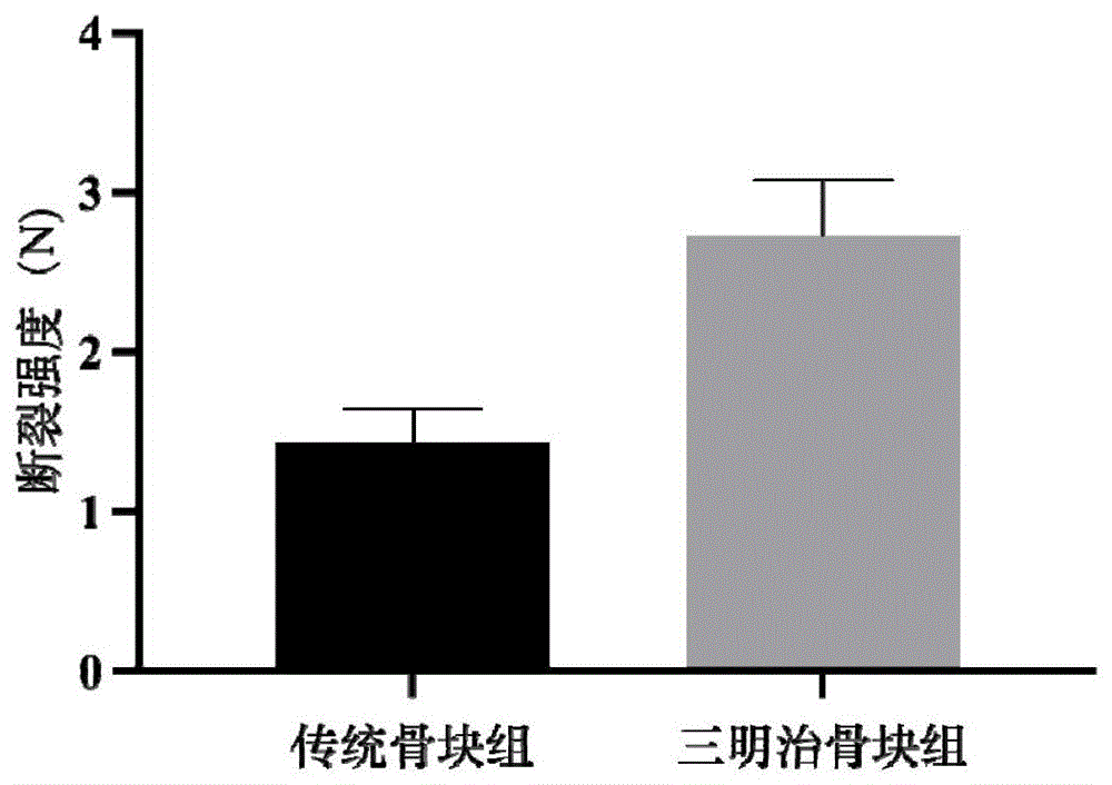 一种血浆基质骨块及其制备方法