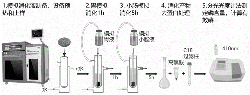 一种肉鸡饲料有效磷的仿生消化测定试剂盒和测定方法