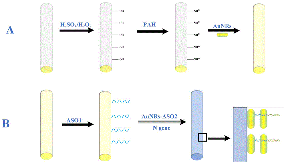 基于光纤LSPR的SARS-CoV-2 N gene传感器及其制备方法与应用