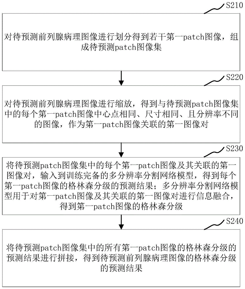 格林森分级预测方法、装置、计算机设备和存储介质