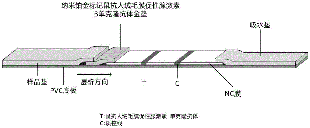 检测唾液样本中人绒毛膜促性腺激素的检测试剂盒及其制备方法