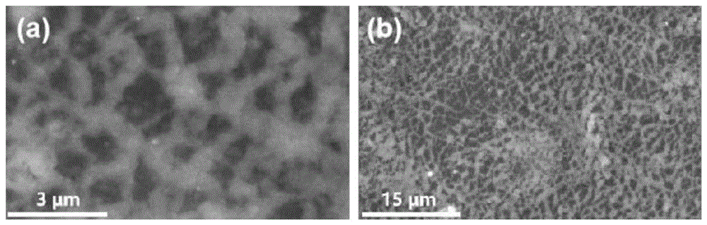 一种微纳结构的锂硅合金负极材料及其制备方法和应用
