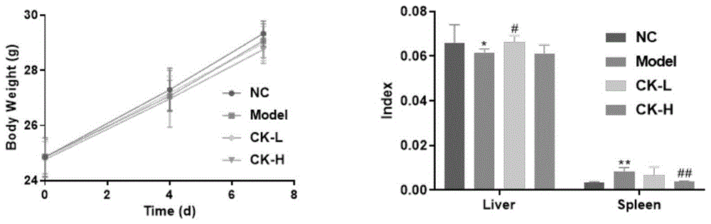 人参皂苷CK在制备防治免疫性肝炎的药物中的应用