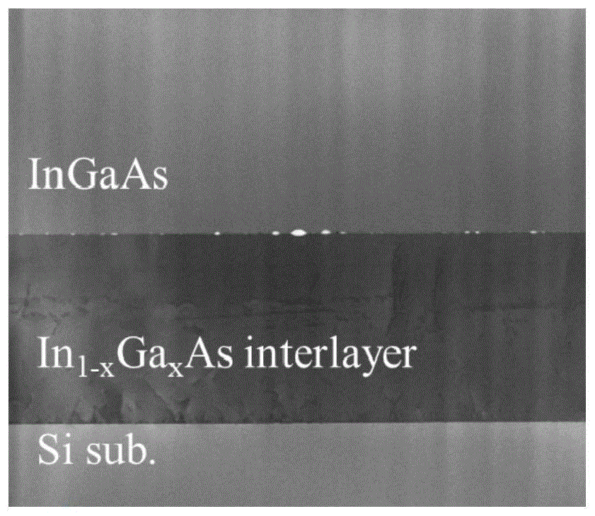 一种提高Si/InGaAs键合界面热稳定性的键合方法