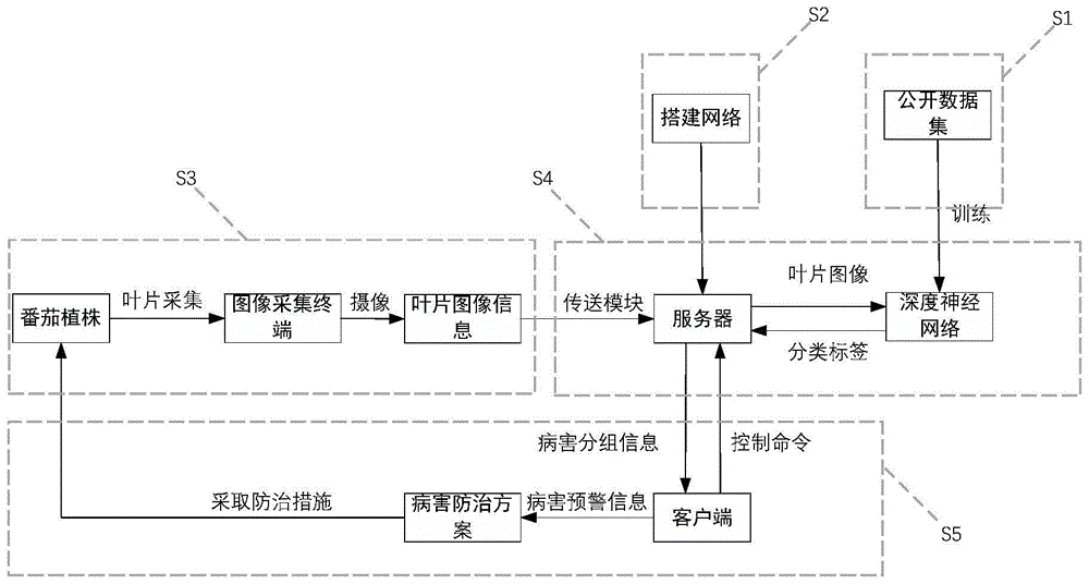 基于深度学习的番茄病虫害检测装置与方法