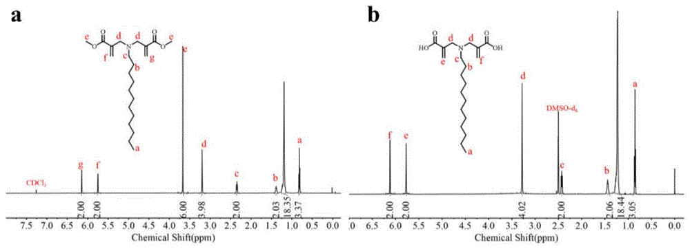 一种Y型双亲双烯单体及其制备方法和在聚合物微球中的应用