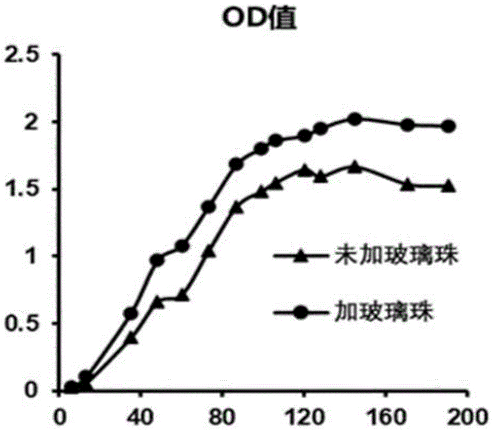 一种高效培养草分枝杆菌的方法