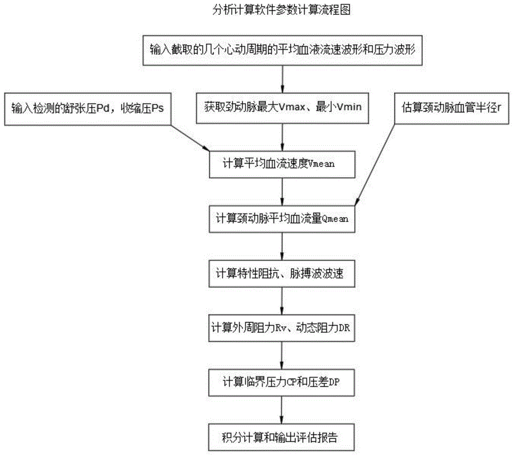 脑血管血液循环脉动流模型及评估方法