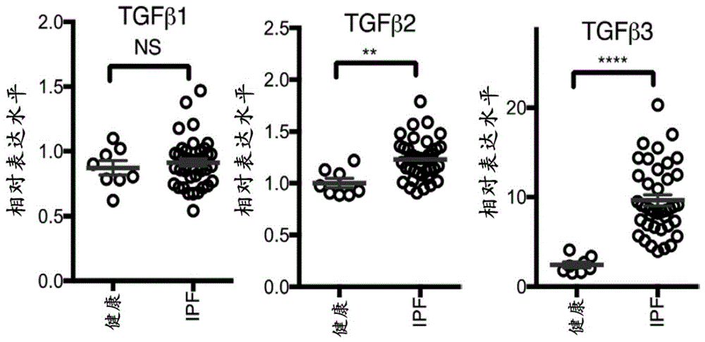 同种型选择性抗TGF-β抗体及使用方法