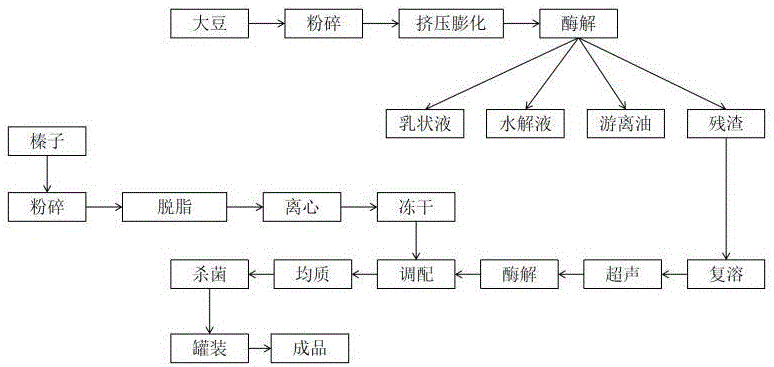 一种基于生物解离技术的榛子蛋白大豆膳食纤维营养饮料的制备方法