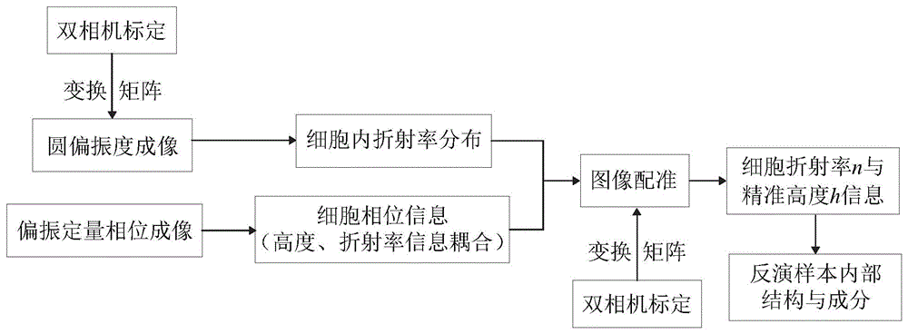 一种基于偏振成像的无标记多层级结构样本检测方法