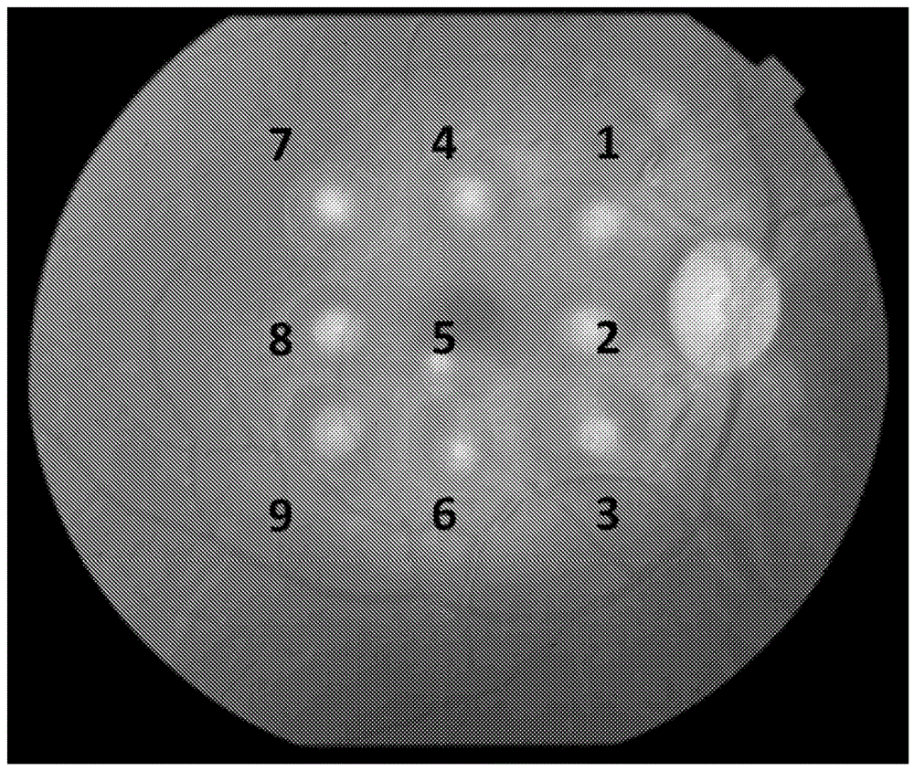 使用AAV2变体和阿柏西普治疗AMD