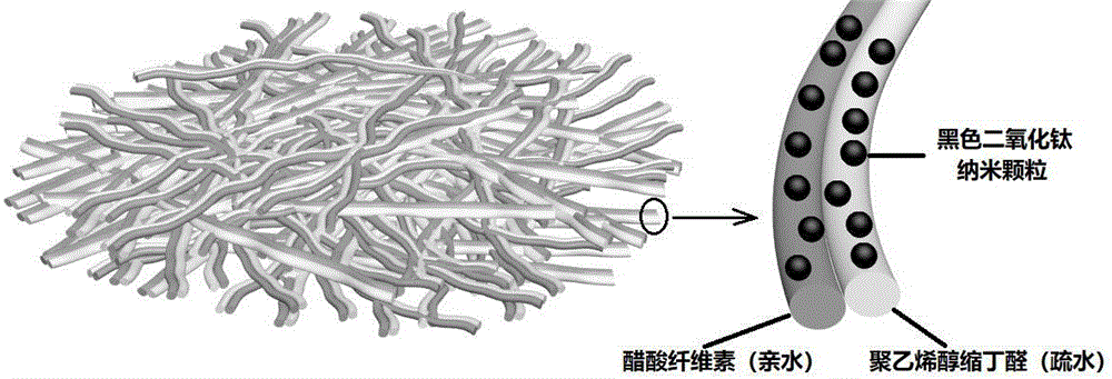 一种光催化-水蒸发双功能太阳能蒸发膜