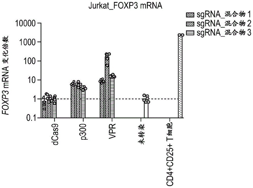 用于调节叉头框P3(FOXP3)基因表达的组合物和方法