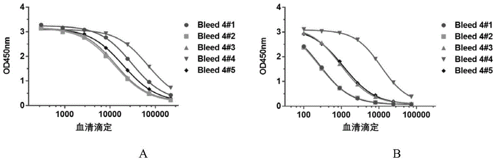 抗人GAS6抗体或其抗原结合片段及其应用