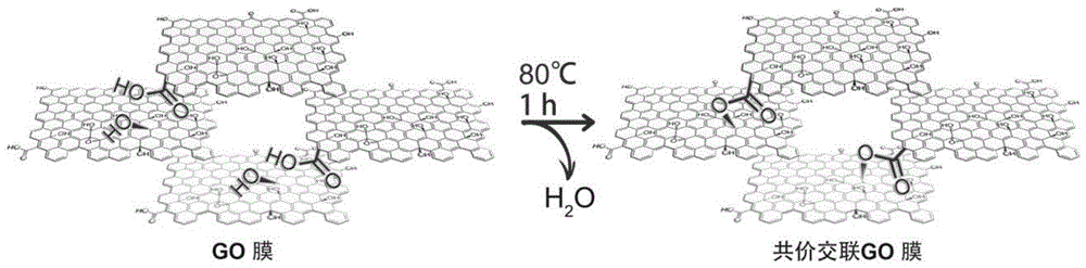 一种共价交联氧化石墨烯纳滤膜及其制备方法