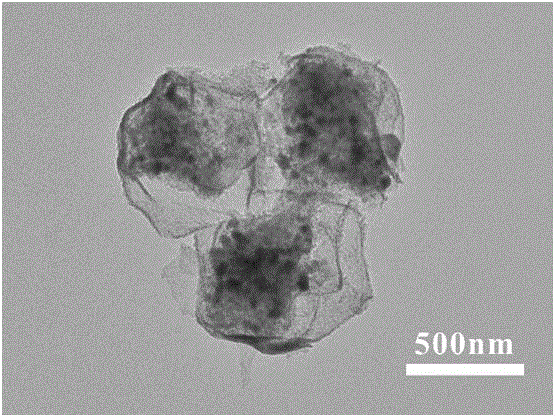 一种磁性蛋黄壳氮磷掺杂碳纳米笼材料的制备及其用于短裸甲藻毒素的检测