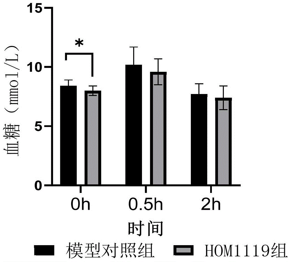 一种动物双歧杆菌乳亚种菌株及其用途