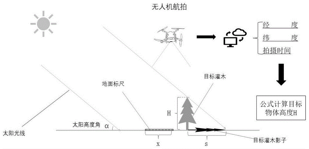 一种基于无人机摄影的荒漠灌木高度测定方法
