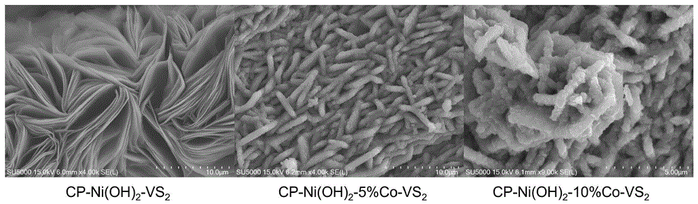 一种在氢氧化镍纳米片上生长钴掺杂硫化钒的制备方法