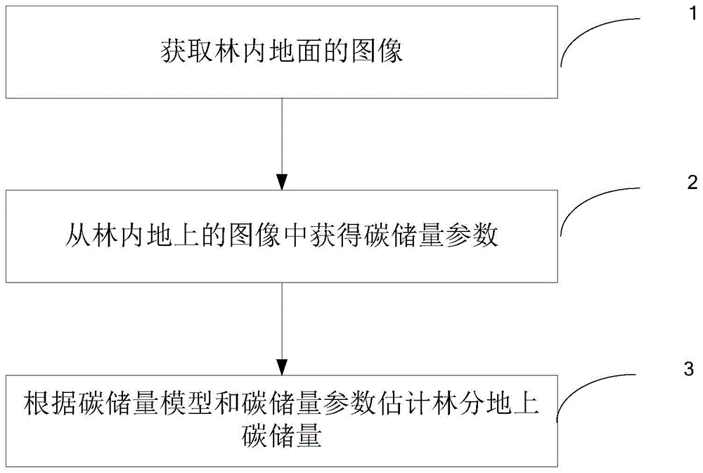 一种林分地上碳储量的估计方法和装置