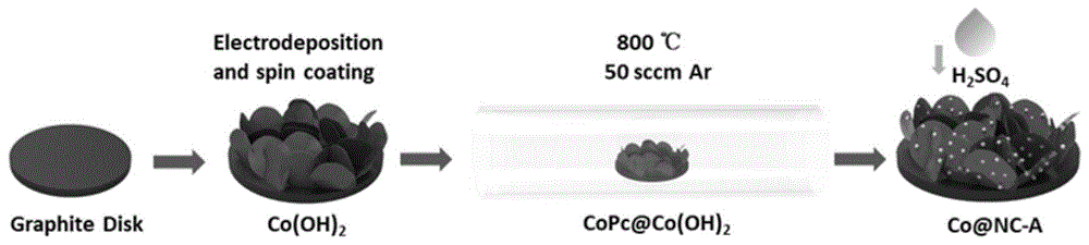 一种N掺杂碳纳米片阵列负载Co纳米颗粒及其制备方法与应用