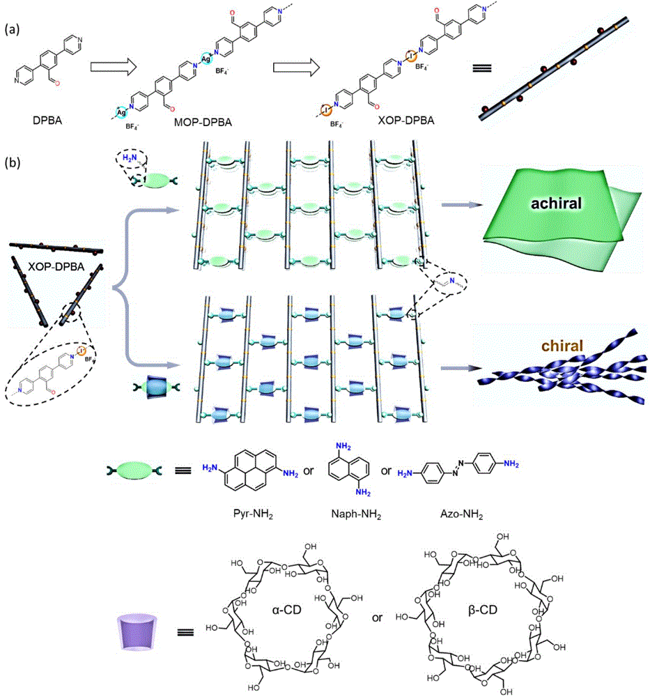 2D卤键有机框架XOF的制备方法、手性超分子卤键有机框架的制备方法及应用
