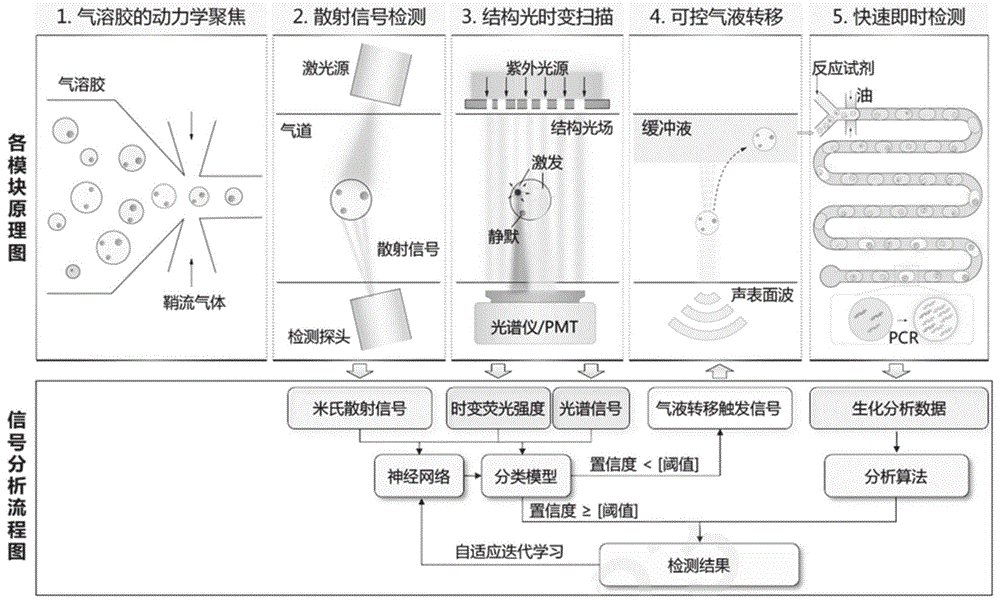 一种生物气溶胶高特异性在线监测方法及系统