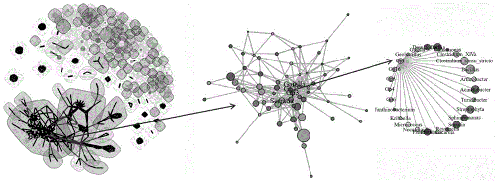 非对照人群依赖的微生物网络分析的功能模块的挖掘方法及系统