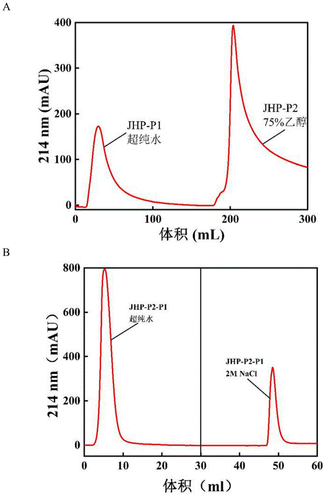 一种干腌火腿源抗炎活性肽及其制备方法和鉴定方法