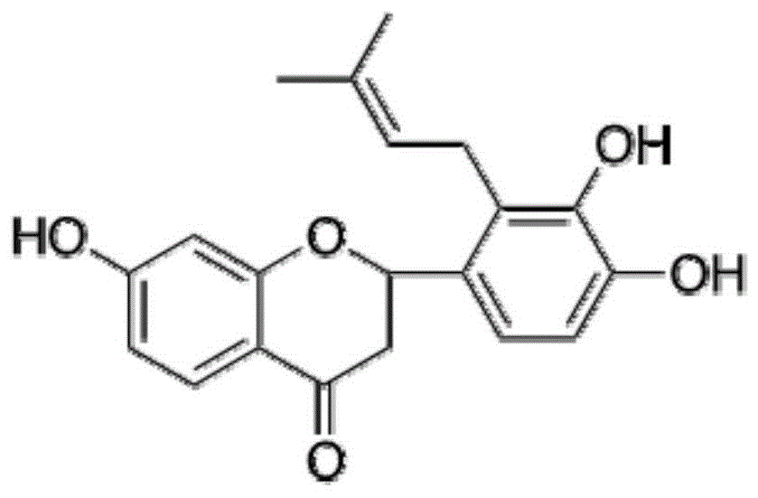二氢黄酮类化合物Involucrasin B在制备JAK1-STAT6双靶点抑制剂中的应用